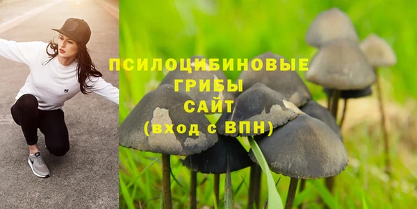 mix Алексин